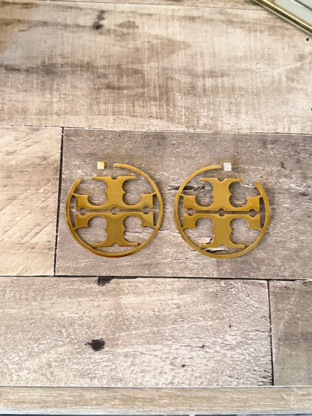 Stainless Steel Hoop Earrings
